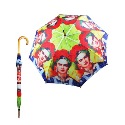 FRIDE 1000 FRIDE 1000