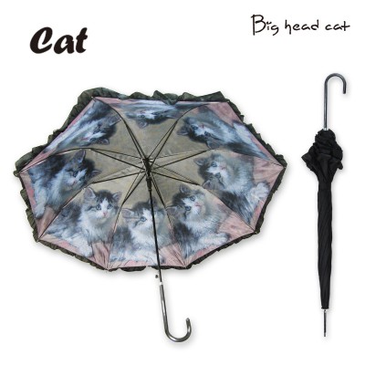 BIG HEAD CAT 2100 BIG HEAD CAT 2100