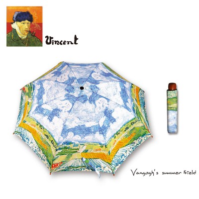 SUMMER FIELD 3001 SUMMER FIELD 3001